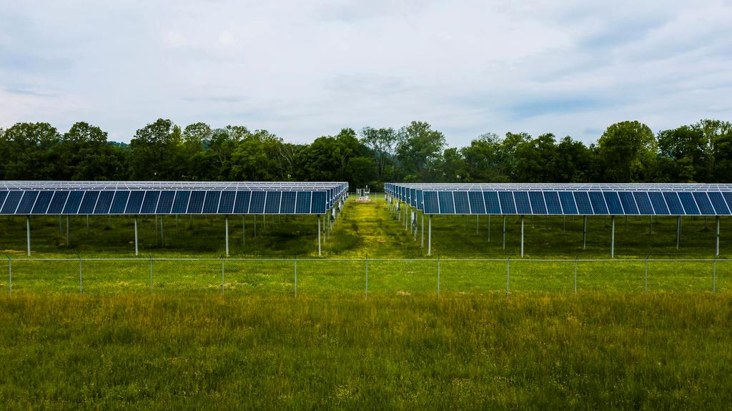 Energy Sector Case Study